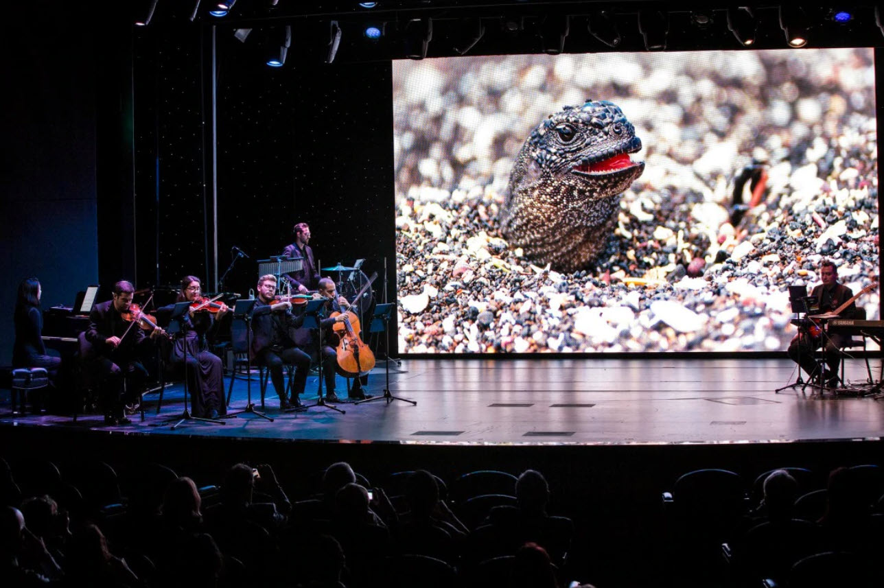 « BBC Earth II in Concert » sur un bateau de croisière Holland America (source : Holland America Line)